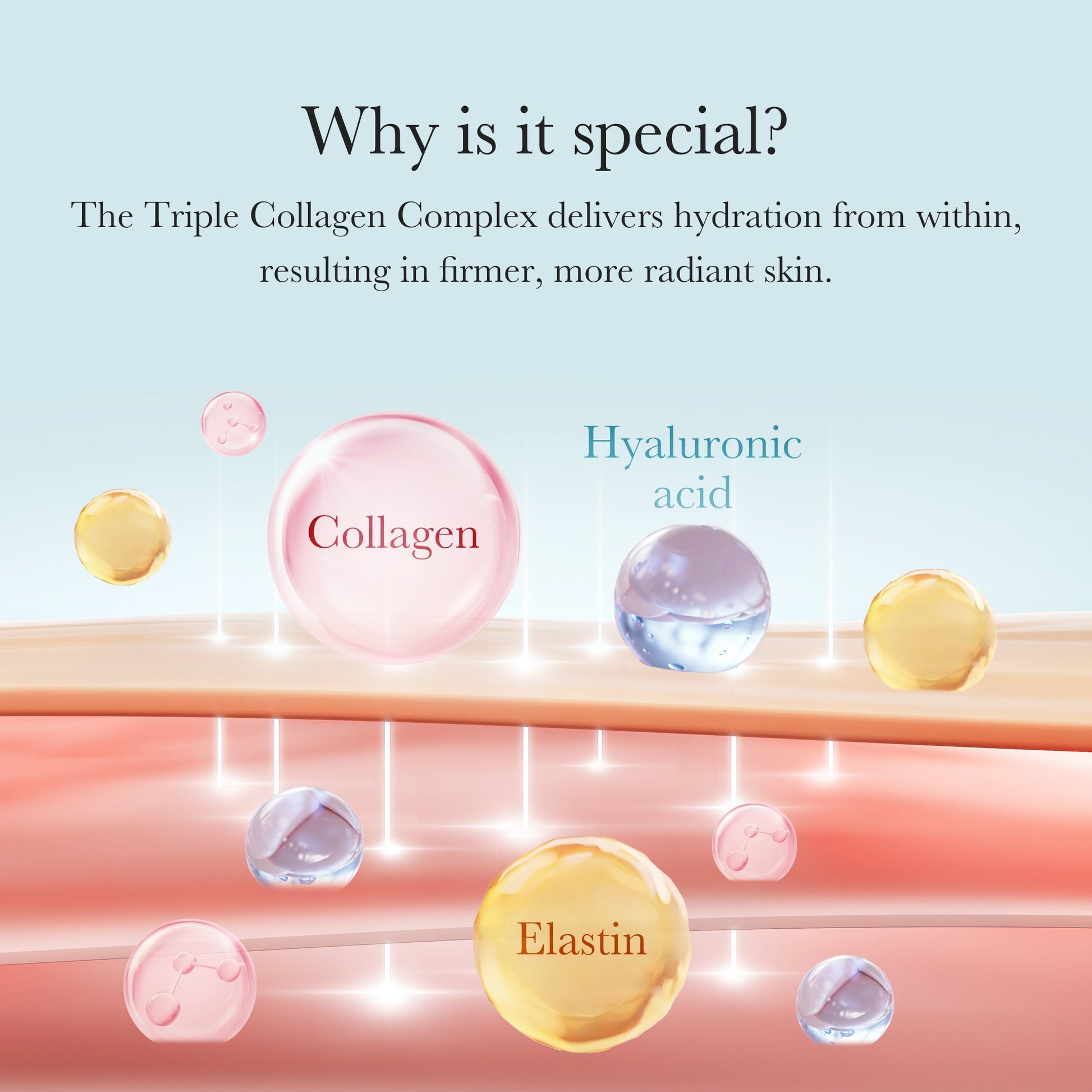 triple-collagen-cream-v3 04_8e4e330d-7d9c-4ff0-93ec-ea541093220c.jpg