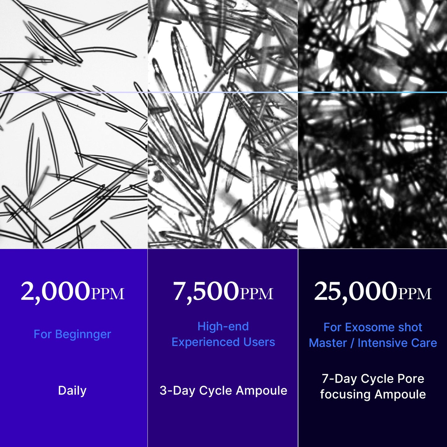 zero-exosome-shot-c1 25000_05.jpg