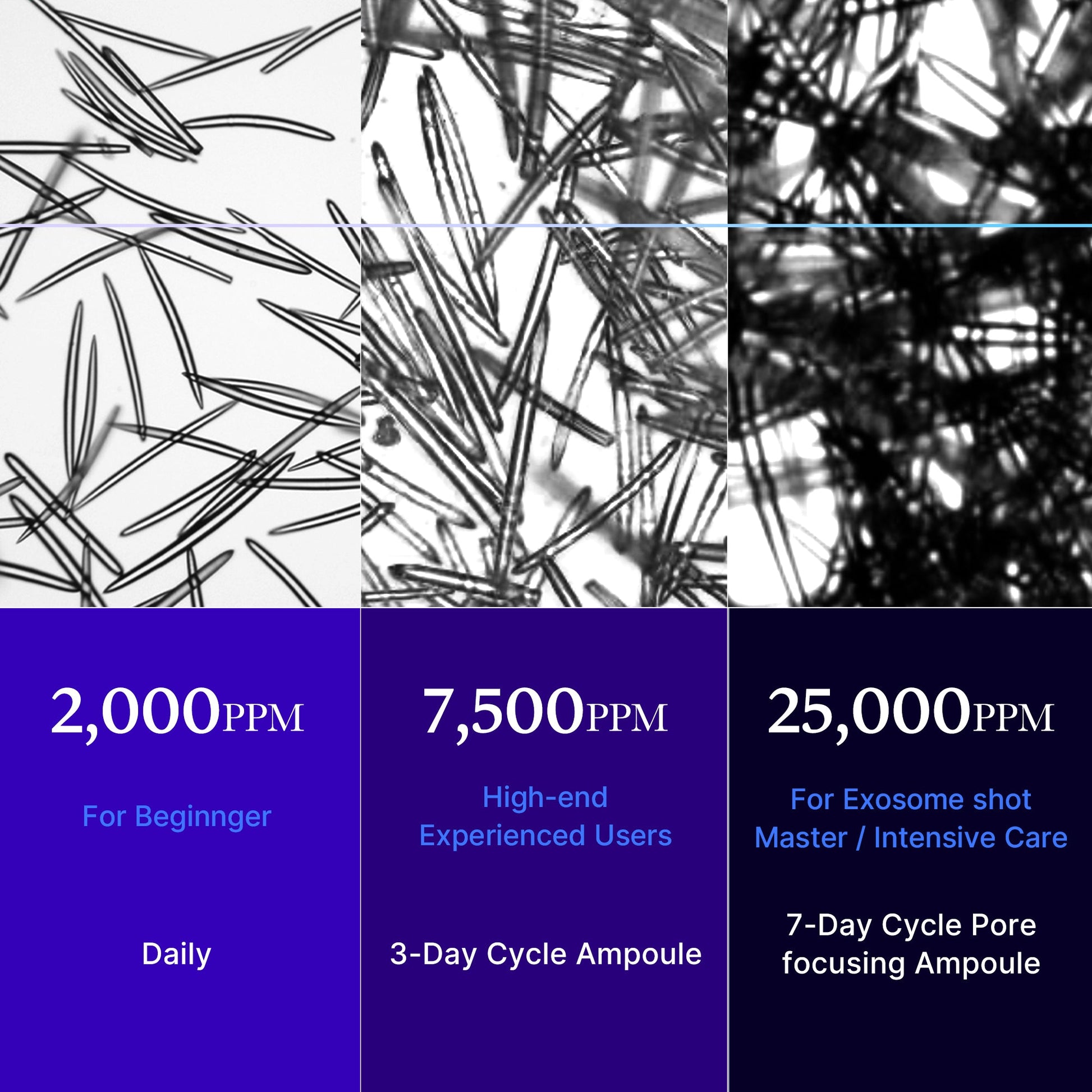 zero-exosome-shot-c1 25000_05.jpg
